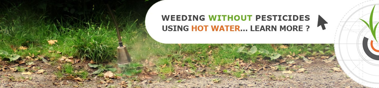 Learn more about weeding with hot water
